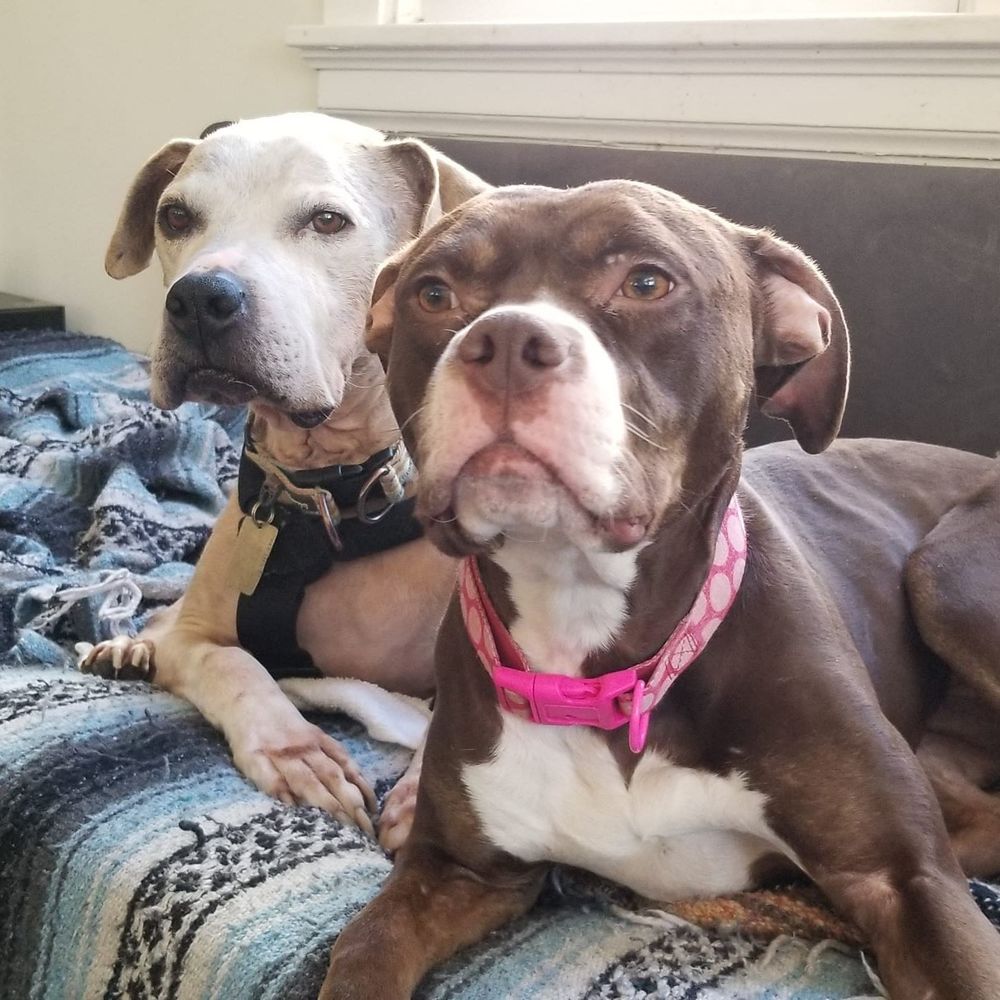 Meet your Posher, Lucia